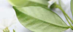 About Us | Nimue